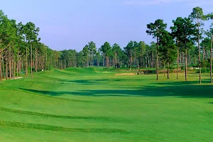 Palmetto Hall Golf and Country Club image