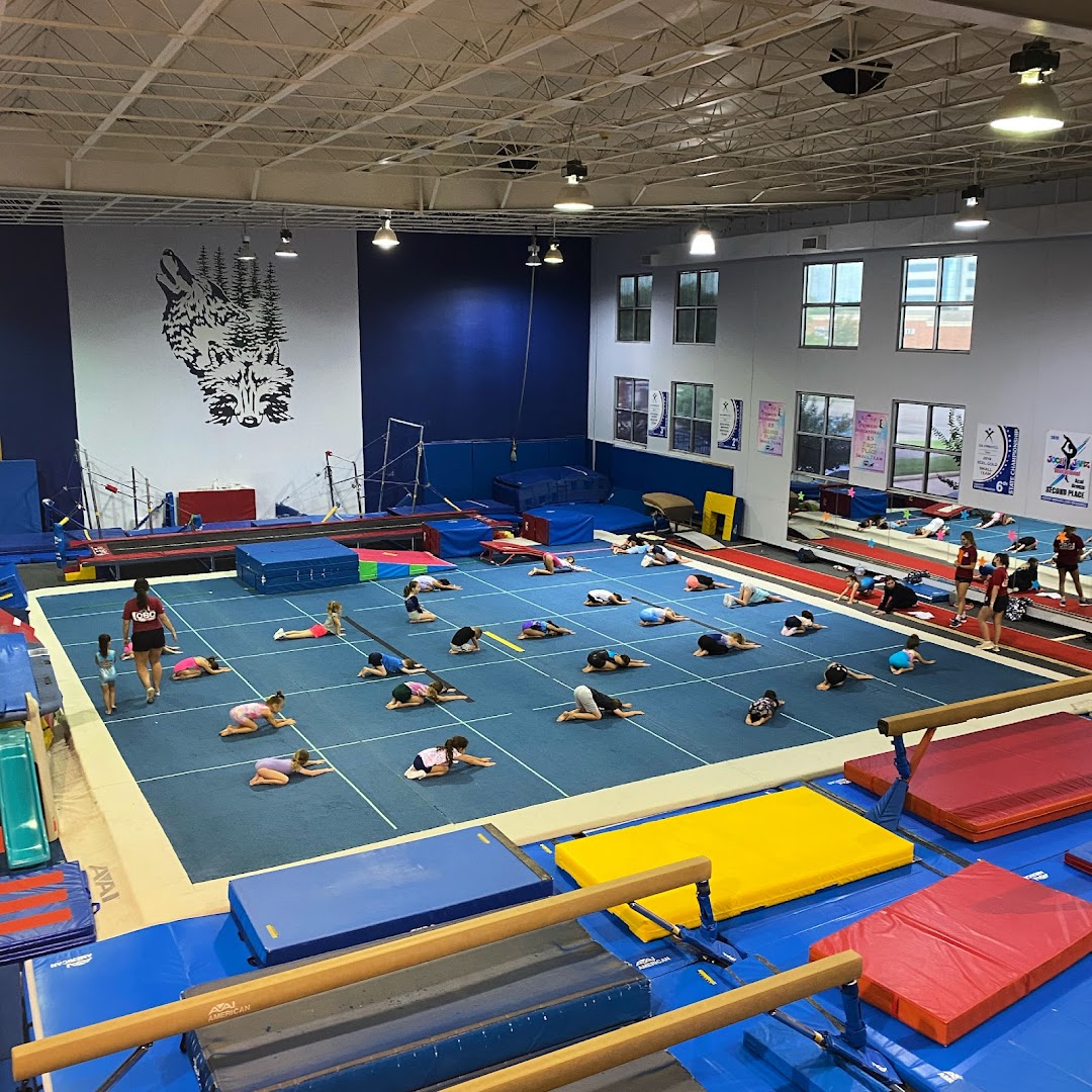 Lobo Active Learning Center & Gymnastics