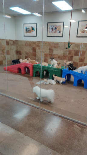 Pet Supply Store «PetSmart», reviews and photos, 100 108th Ave NE, Bellevue, WA 98004, USA