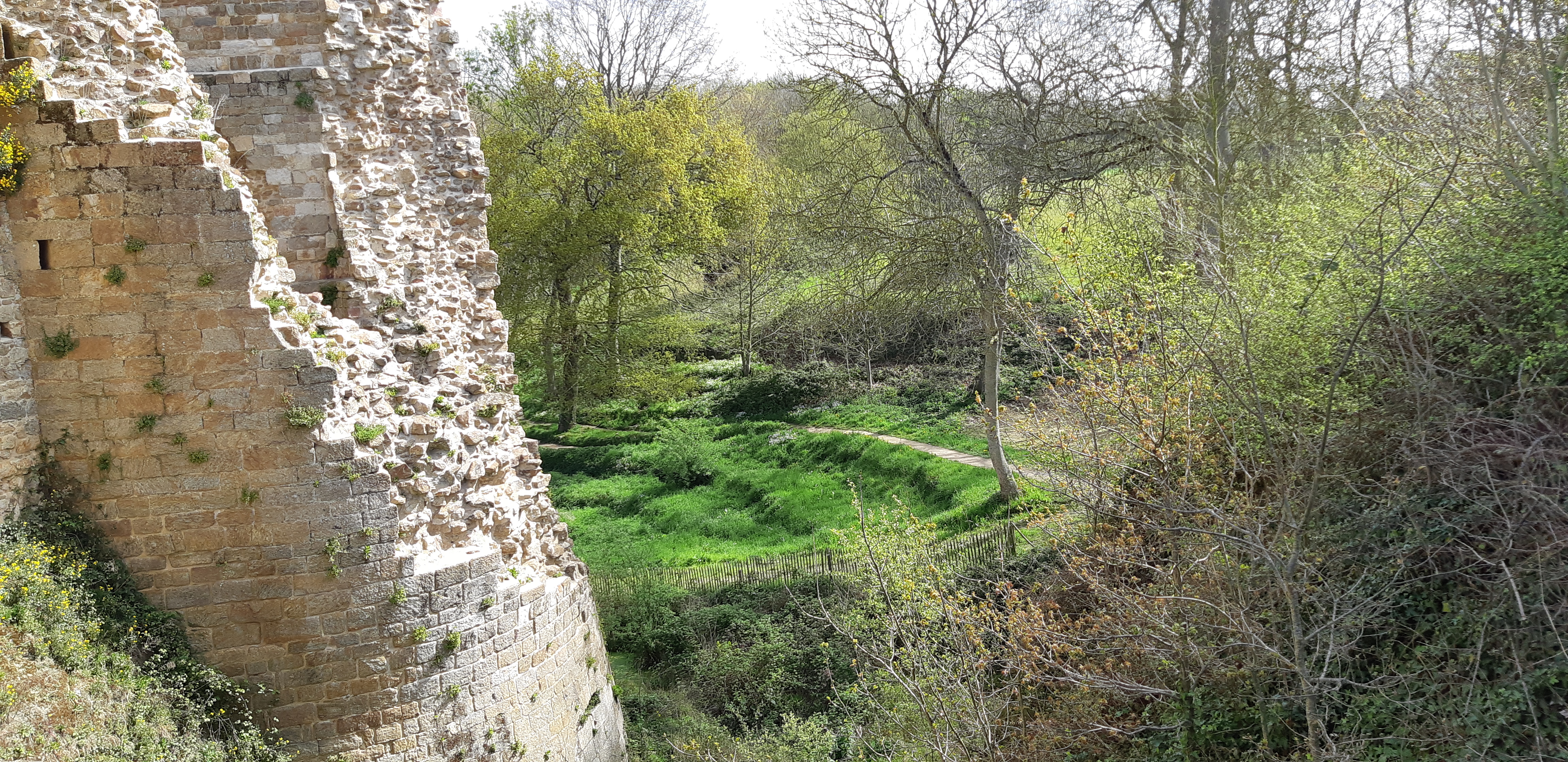 Photo n° 48 de l'avis de Arnaud.u fait le 17/04/2022 à 19:23
