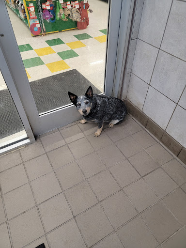 Pet Supply Store «Pet Supplies Plus», reviews and photos, 9630 Transit Rd Suite 400, East Amherst, NY 14051, USA