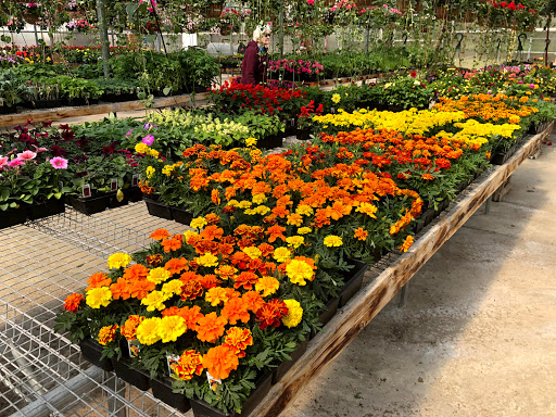 Produce Market «Dzen Garden Market», reviews and photos, 187 Windsorville Rd, Ellington, CT 06029, USA