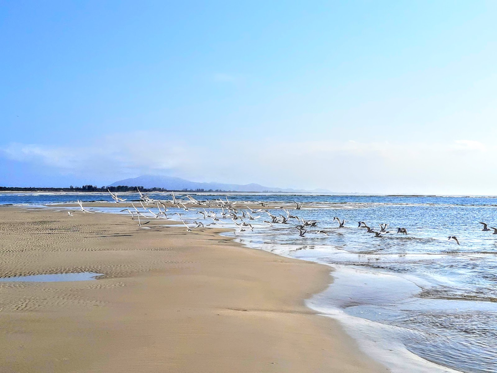Photo de Plage de Fora avec rivage droit, long