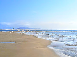 Fora Plajı'in fotoğrafı düz ve uzun ile birlikte