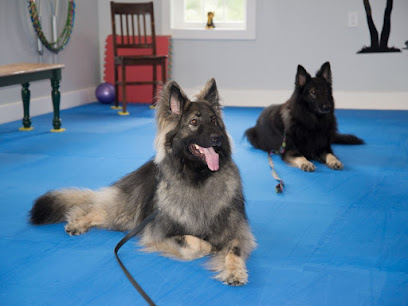 White Star Dog Training, LLC