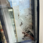 Photo n°4 de l'avis de Robin.r fait le 05/11/2023 à 20:43 sur le  Landhaus Stutzi à Cuxhaven