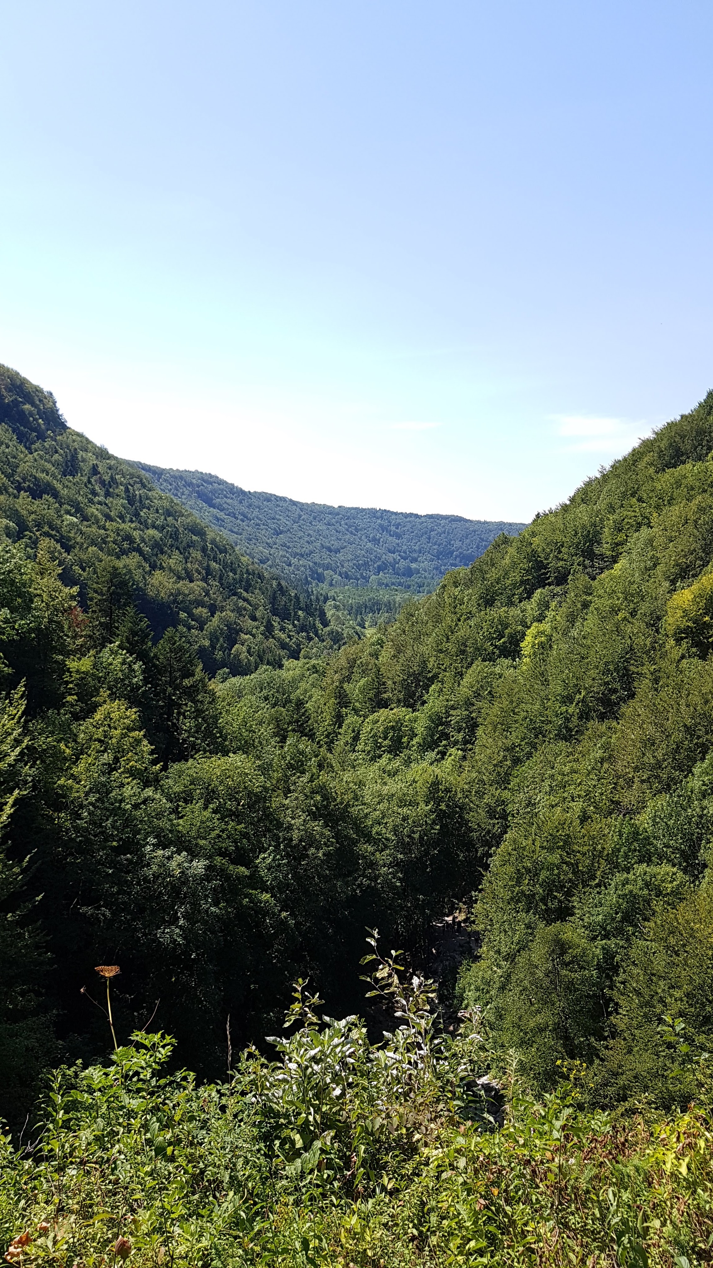Photo n° 4 de l'avis de [Local•8].y fait le 05/08/2019 à 19:15