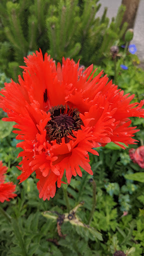 Quilt Shop «center diamond», reviews and photos, 1065 S Hemlock St, Cannon Beach, OR 97110, USA