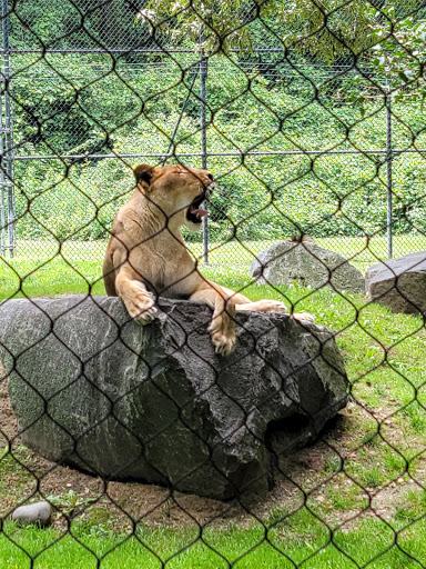 Zoo «Cape May County Park & Zoo», reviews and photos, 707 U.S. 9, Cape May Court House, NJ 08210, USA