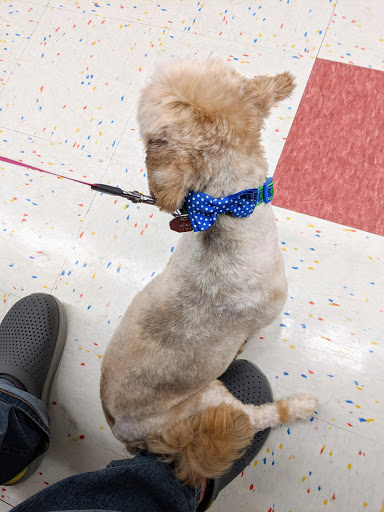 Pet Supply Store «Petco Animal Supplies», reviews and photos, 9 W Avon Rd, Avon, CT 06001, USA