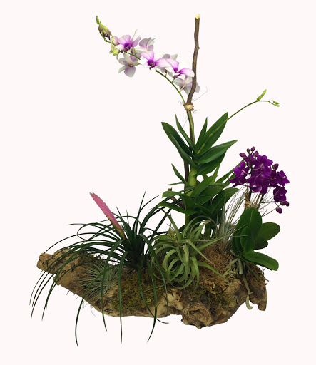 Florist «Formaneta», reviews and photos, 939 Crandon Blvd, Key Biscayne, FL 33149, USA