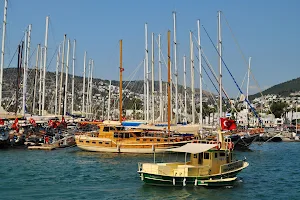 Bodrum Harbour image