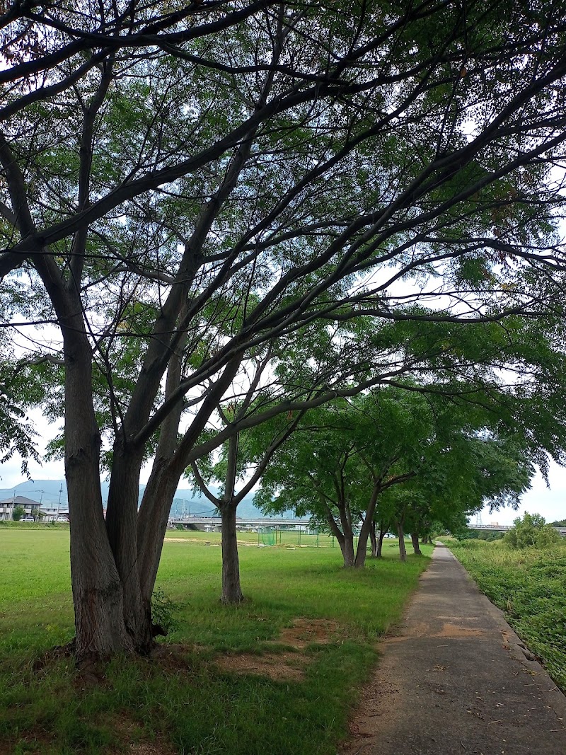 香東川公園 成合町運動広場