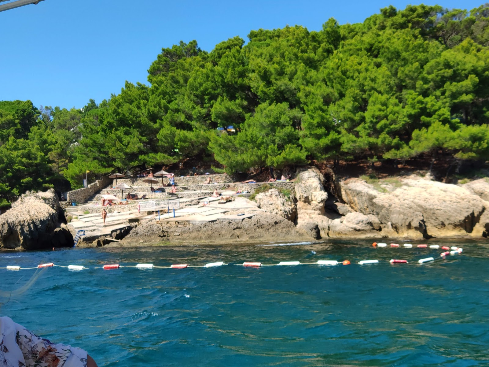 Foto von Albatros beach befindet sich in natürlicher umgebung