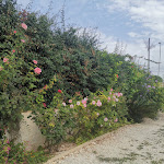 Photo n°3 de l'avis de Sharon's.i fait le 25/09/2021 à 14:19 sur le  Villa Alloro à Petrosino