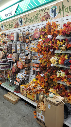 Dollar Store «Dollar Tree», reviews and photos, 3230 Jefferson St, Napa, CA 94558, USA