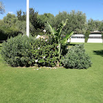 Photo n°5 de l'avis de Luciana.o fait le 06/10/2019 à 08:07 sur le  Centro Turistico Piccolo Ranch à Pula