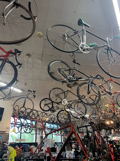 Bicycle Store «Velo Pasadena Inc», reviews and photos, 2562 E Colorado Blvd, Pasadena, CA 91107, USA