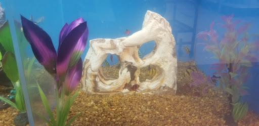 Pet Supply Store «PetSmart», reviews and photos, 7574 Voice of America Centre Dr, West Chester Township, OH 45069, USA