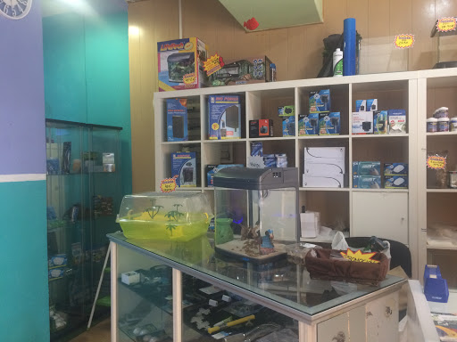 aquarium nature - Almería