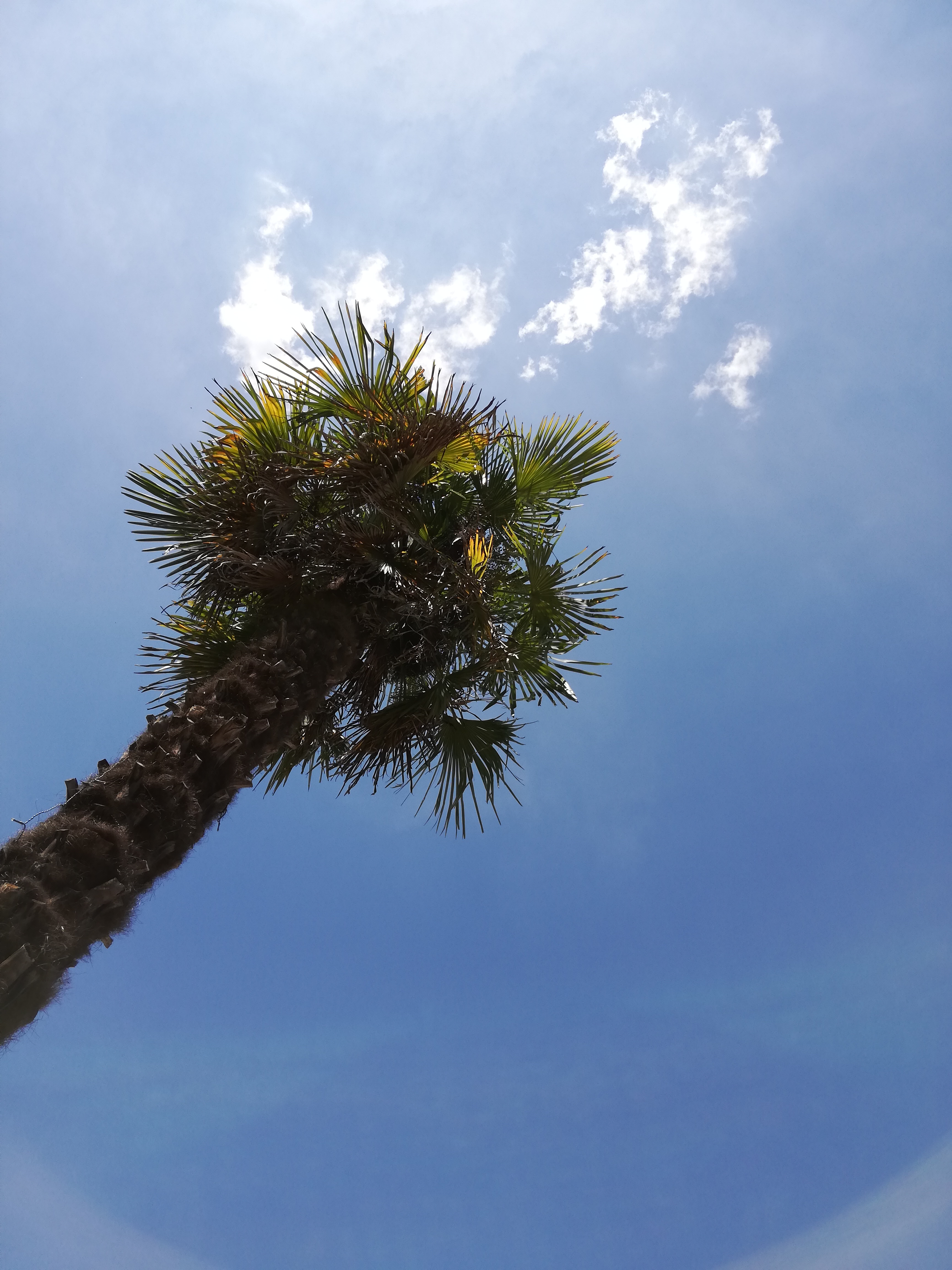 Photo n° 1 de l'avis de Cindy.t fait le 22/08/2018 à 10:54