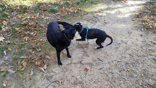 Park «Fort Foote Park», reviews and photos, Fort Foote Rd, Fort Washington, MD 20744, USA