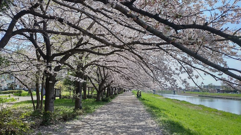 藤塚三本木緑地