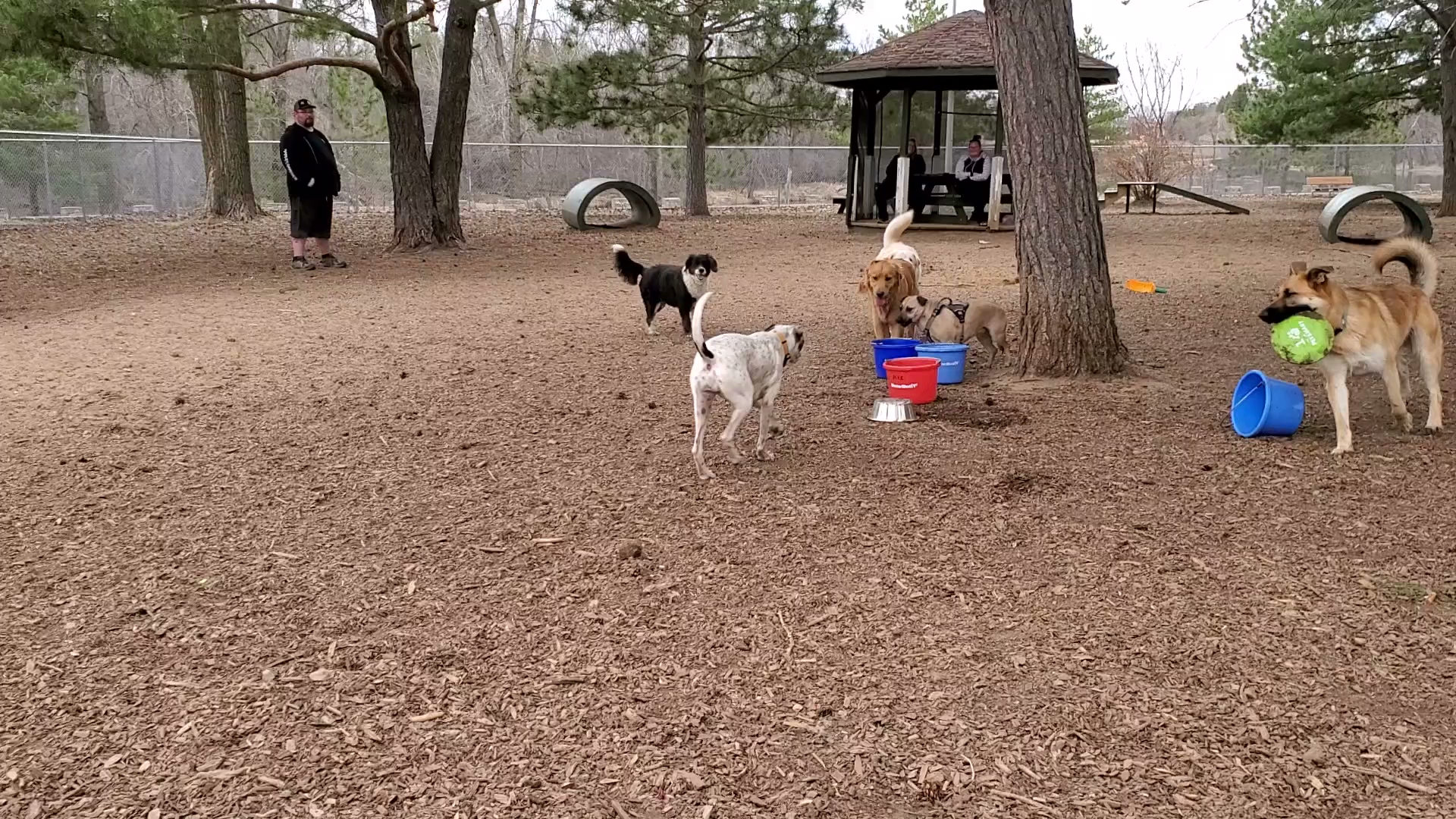 Buster Park- A Playground for Dogs