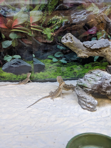 Pet Supply Store «Petco Animal Supplies», reviews and photos, 4411 16th St, Moline, IL 61265, USA