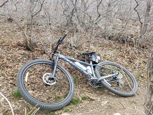 Bicycle Repair Shop «The Bike Shoppe», reviews and photos, 4390 Washington Blvd, Ogden, UT 84403, USA