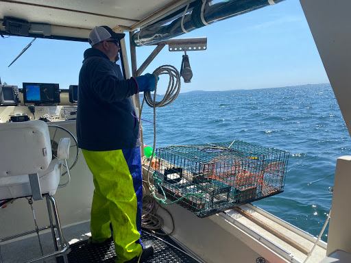 Sightseeing Tour Agency «Lulu Lobster Boat Ride», reviews and photos, 55 West St, Bar Harbor, ME 04609, USA