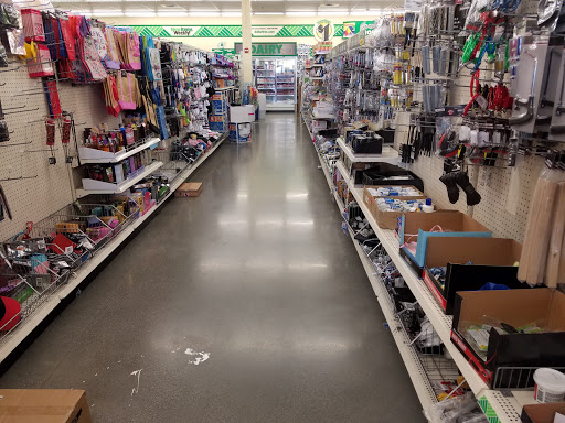Dollar Store «Dollar Tree», reviews and photos, 508 Fort Evans Rd NE, Leesburg, VA 20176, USA