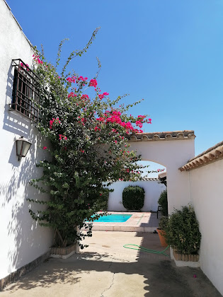 Extérieur hôtels Huerta de los naranjos 14111 La Carlota