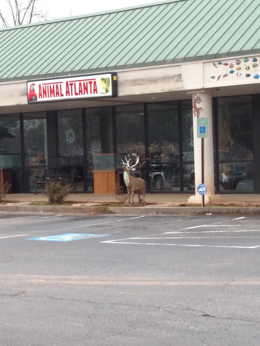 Animal Atlanta