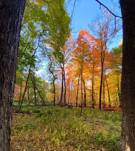 Wood-Rill Trailhead