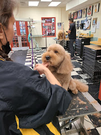 The Barker Shop - Photo 4 - Car repair in Willowbrook, IL, Naperville