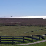 Photo n°3 de l'avis de Tanja.e fait le 10/04/2023 à 15:46 sur le  Hallig Krog à Reußenköge