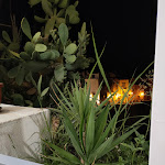 Photo n°4 de l'avis de Francesco.a fait le 04/07/2021 à 06:26 sur le  Guarda che Luna à Vieste