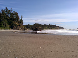 Foto von Mosquito Creek Beach mit sehr sauber Sauberkeitsgrad