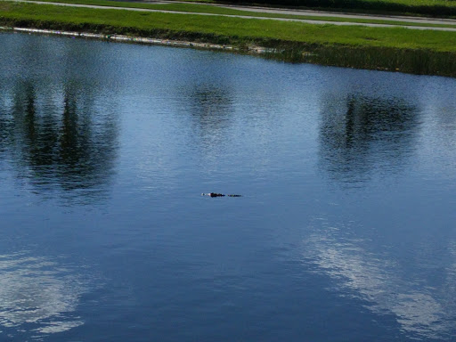 Golf Club «Stoneybrook Golf Club», reviews and photos, 21251 Stoneybrook Golf Blvd, Estero, FL 33928, USA