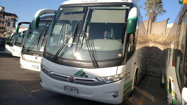 Transportes Yanguas - Servicio de transporte