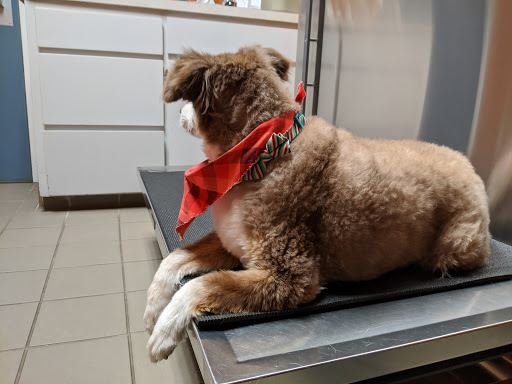 43 W Main St, Hebron, CT 06248, USA