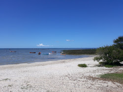 Foto von Estreito Beach mit sehr sauber Sauberkeitsgrad