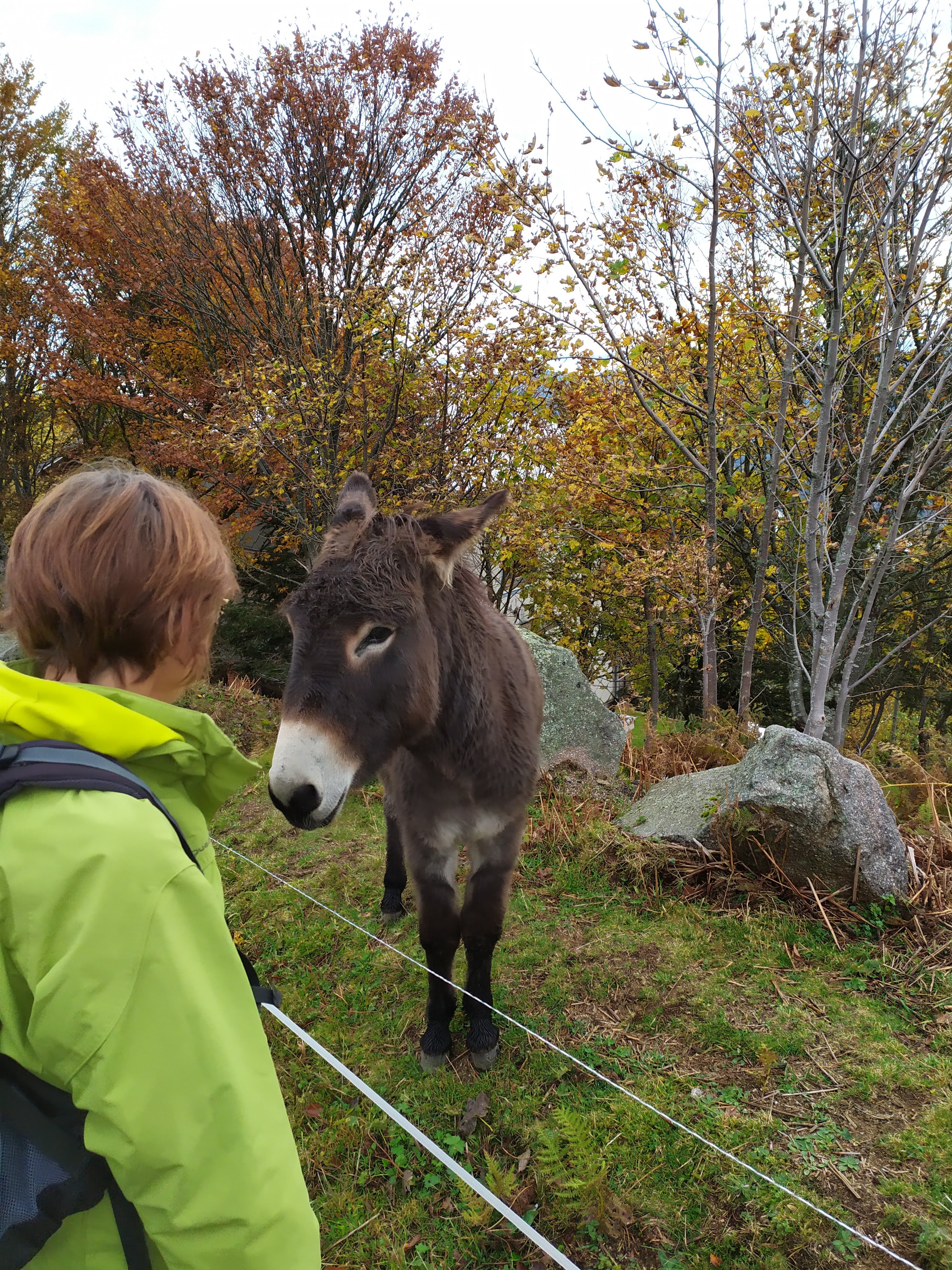 Photo n° 3 de l'avis de Eric.o fait le 03/11/2019 à 17:33