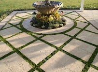 Frank's Landscaping Inc - Photo 6 - Car repair in , Stockton