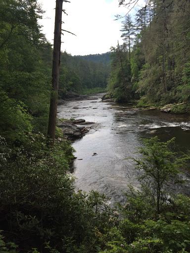 Outdoor Sports Store «The Local Hiker», reviews and photos, 173 E Main St, Spartanburg, SC 29306, USA