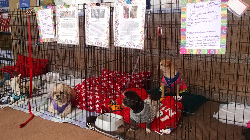 Pet Supply Store «PetSmart», reviews and photos, 16257 N Scottsdale Rd, Scottsdale, AZ 85254, USA