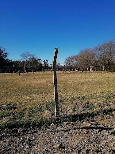 Cancha Manuel Demetrio Souza