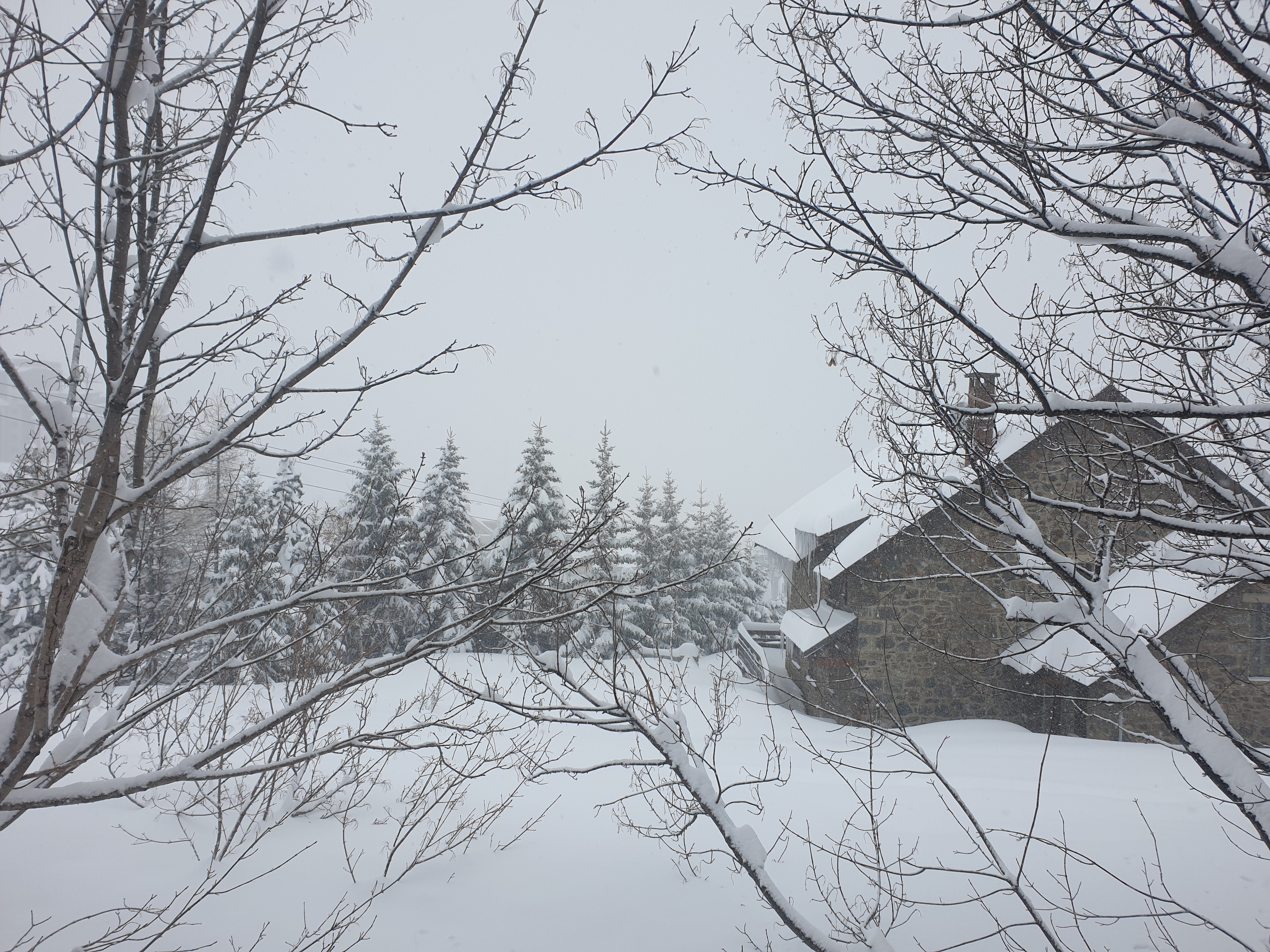 Photo n° 5 de l'avis de Véronique.o fait le 22/02/2019 à 08:00