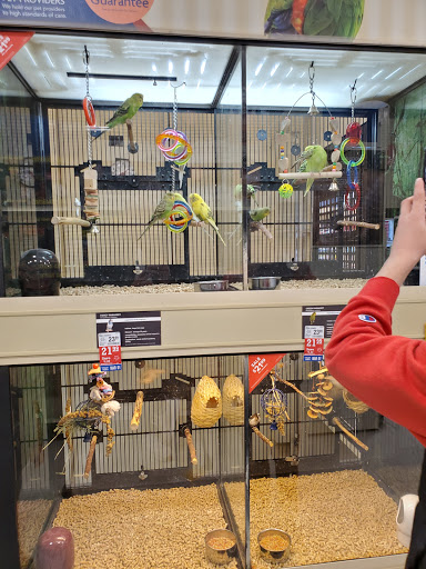 Pet Supply Store «PetSmart», reviews and photos, 45050 Northpointe Blvd, Utica, MI 48315, USA